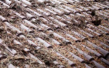 Holywell Lake roof cleaning companies