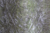 Holywell Lake fibreglass roof work